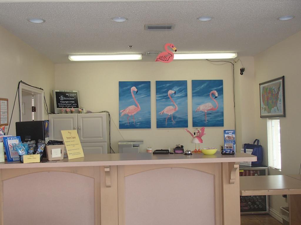 Flamingo Inn South Padre Island Exterior photo